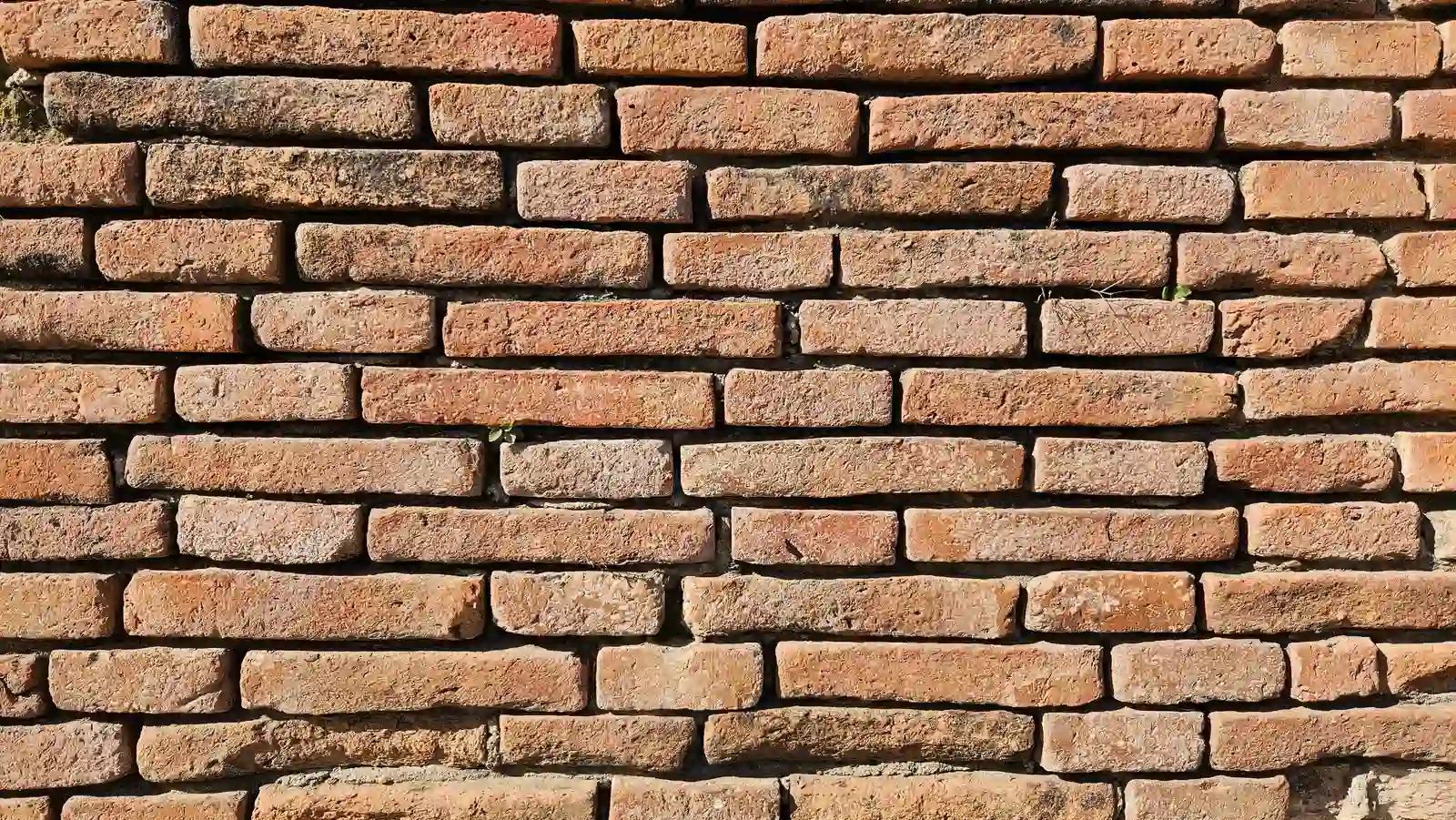 Clean new brick wall texture in warm sunlight