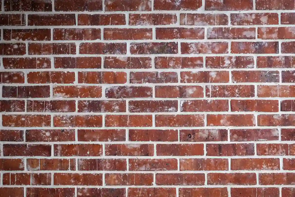 In-house crew handling repointing on a Chicago two-flat