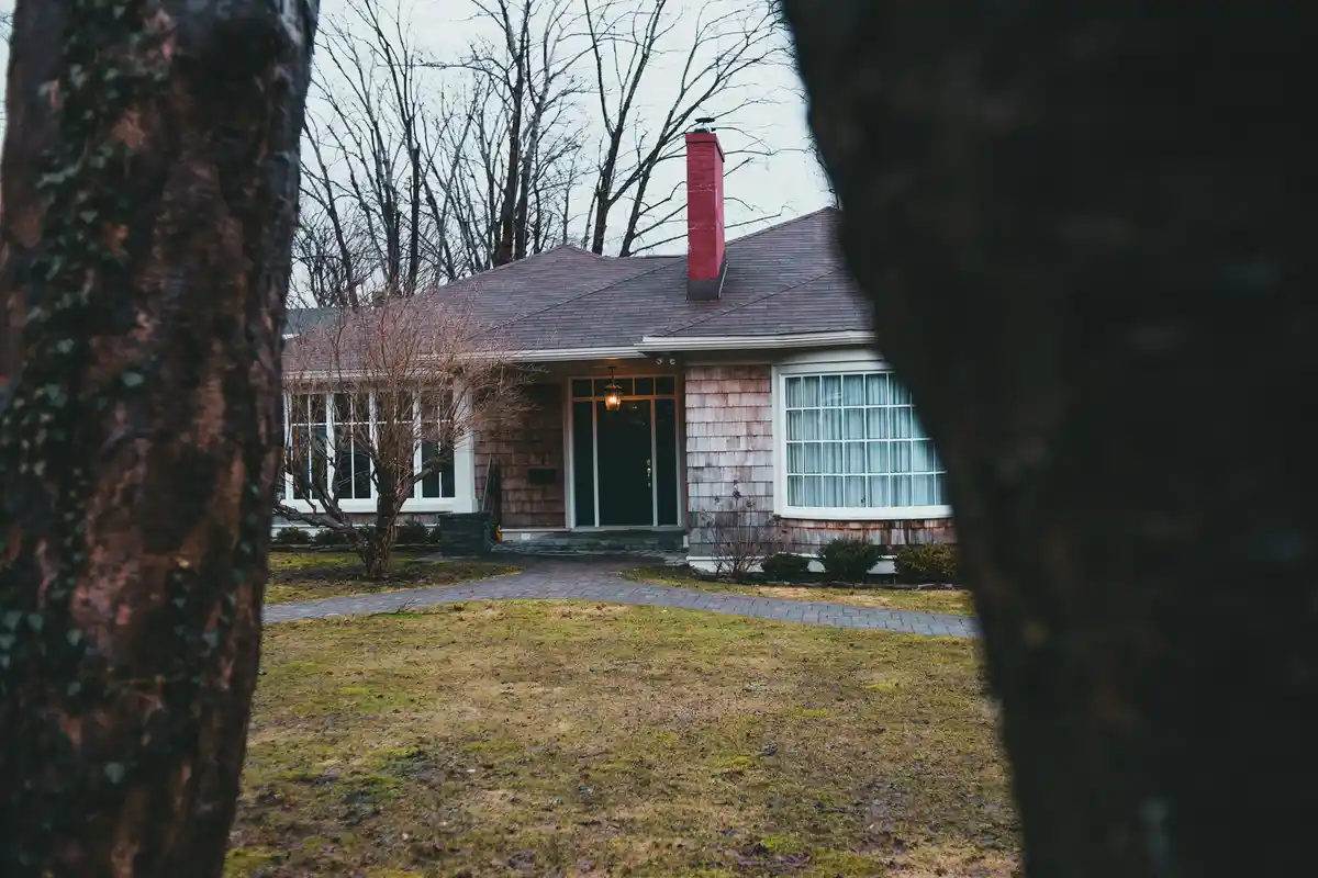 Before: Roofline detail — chimney proportioned to the elevation with code-compliant clearances