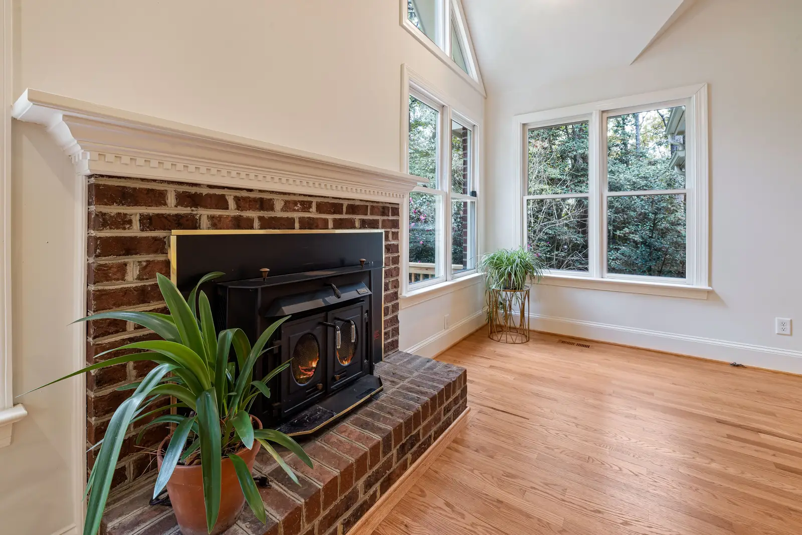 Chimney & Fireplace