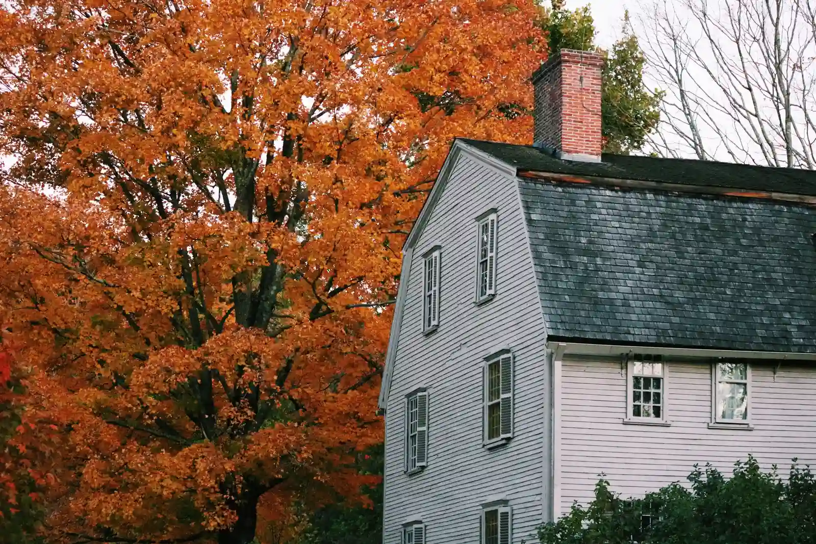 Chimney & Fireplace in Highland Park, IL