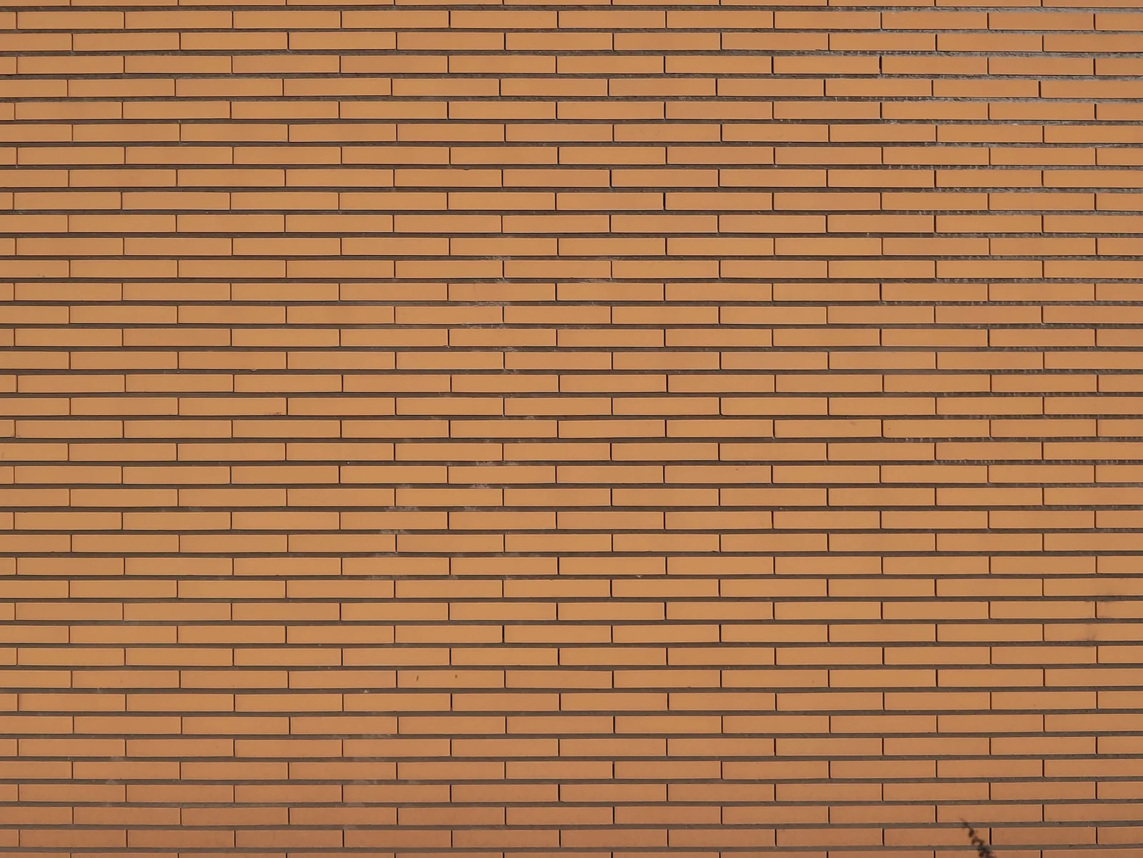 Tuckpointing & Repointing